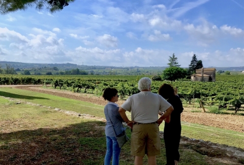 TopWineExperience - Private Premium Wine tour in Sitges