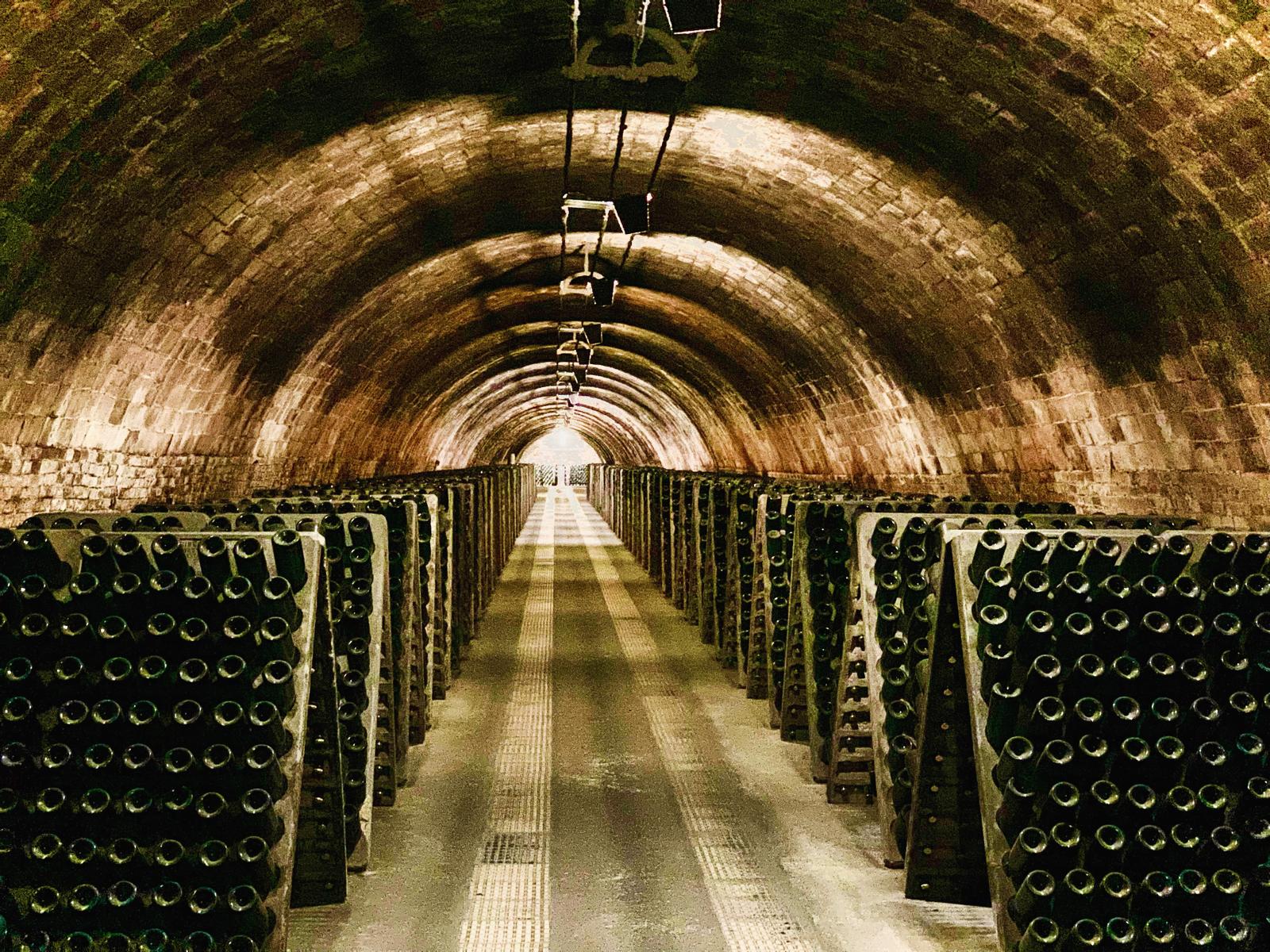 Cava cellar tours for team-building or corporate events with food and wine