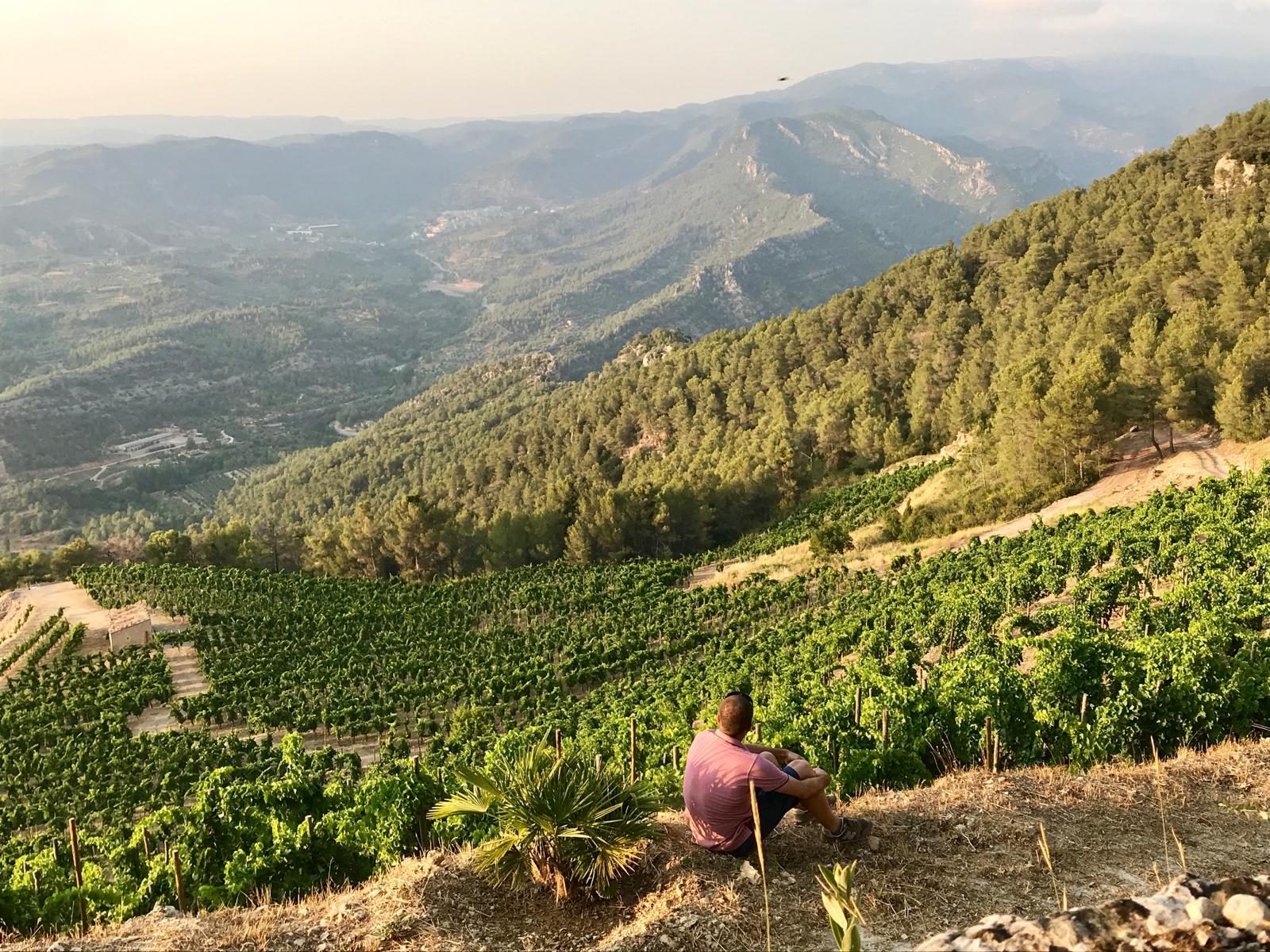 Premium wine tours to the most iconic cellars of Priorat