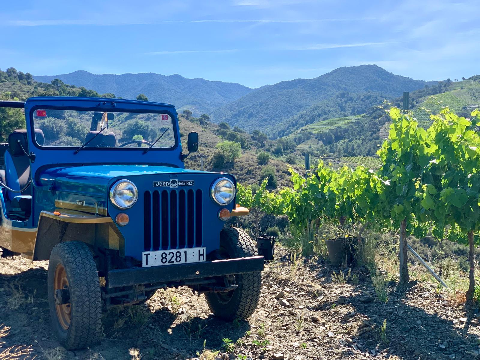 Private vineyard tour in Priorat