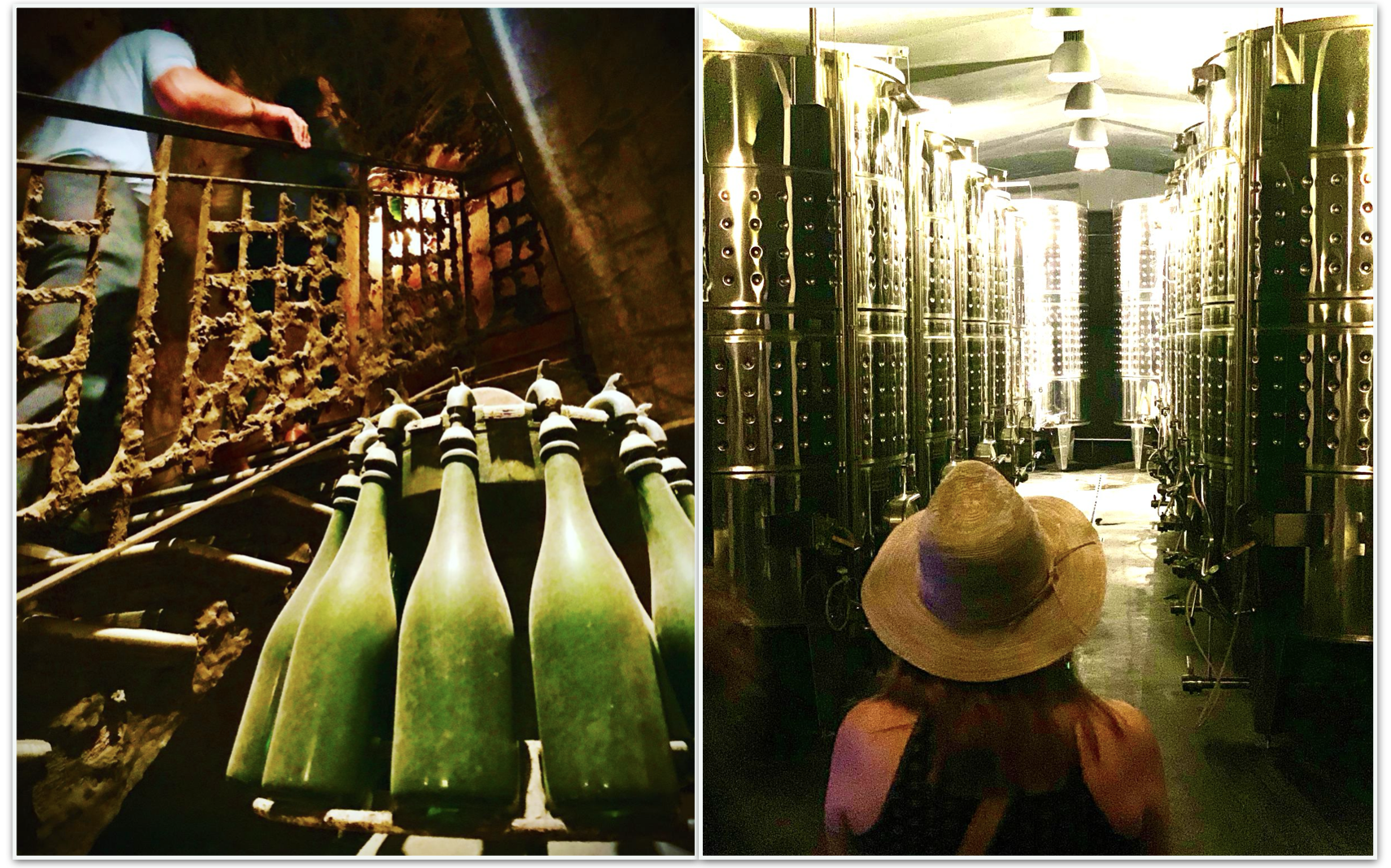 Sparkling wine tasting tour day-excursion from Barcelona or Sitges