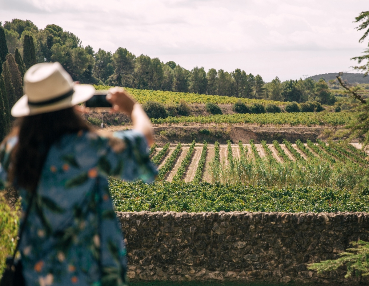 Private wine tour to boutique cellar in Barcelona