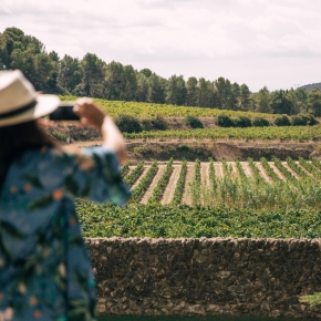 Private wine tour to boutique cellar in Barcelona