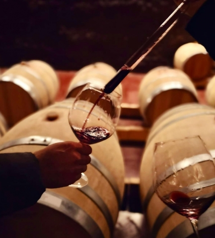 Premium barrel tasting of the finest Priorat red wines