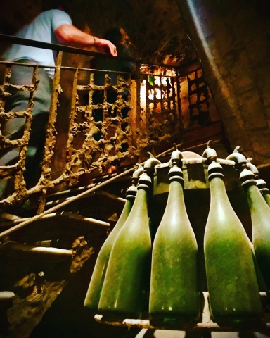 Premium sparkling wine tasting tour departing from Sitges or Barcelona