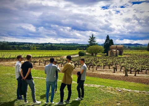 Red and white wine tasting tour to the vineyards of Sitges in the Penedes Wine Region